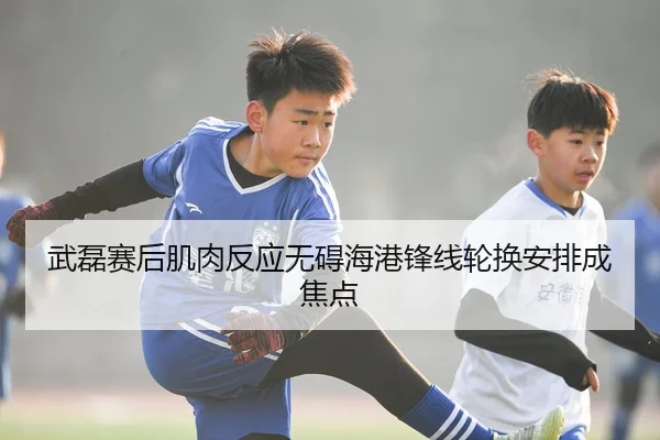 武磊赛后肌肉反应无碍海港锋线轮换安排成焦点